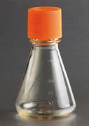 Plastic Erlenmeyer Flask